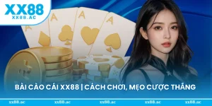 Bài cào cái